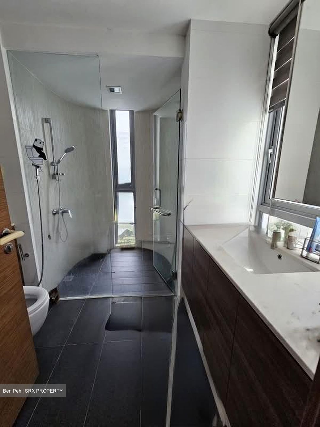 Double Bay Residences (D18), Condominium #588252161